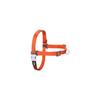 Harnais pour chien - Red Dingo - 30-42 cm - Orange - XS - Lavage à la main - Boucle - Uni - 22,5x9x2 cm