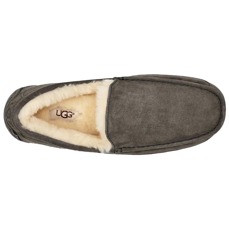 UGG Ascot Slipper Charcoal Women's 1101110-CHRC