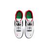 Nike Ishod Wair Premium SB 'Chicago' Men's DZ5648-100