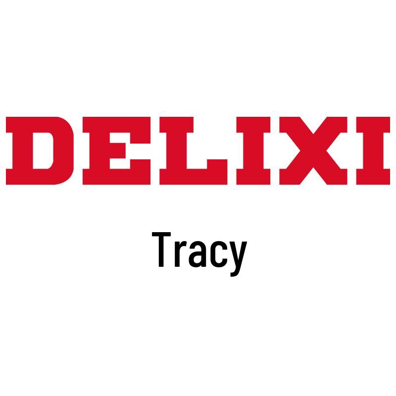 

Delixi Heavy Duty A-Type G-Clamp: Woodworking Quick Spring Fixing Tool