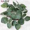 American Imitation Wreath Candle Wreath Eucalyptus Wreath Eucalyptus Leaf Wreath Dining Table Money Leaf Wreath