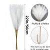 10pcs Artificial Pampas Grass - Elegant Fake Plant for Vase Flower Arrangement, Home Decoration, Weddings, Festivals | Universal Four Seasons