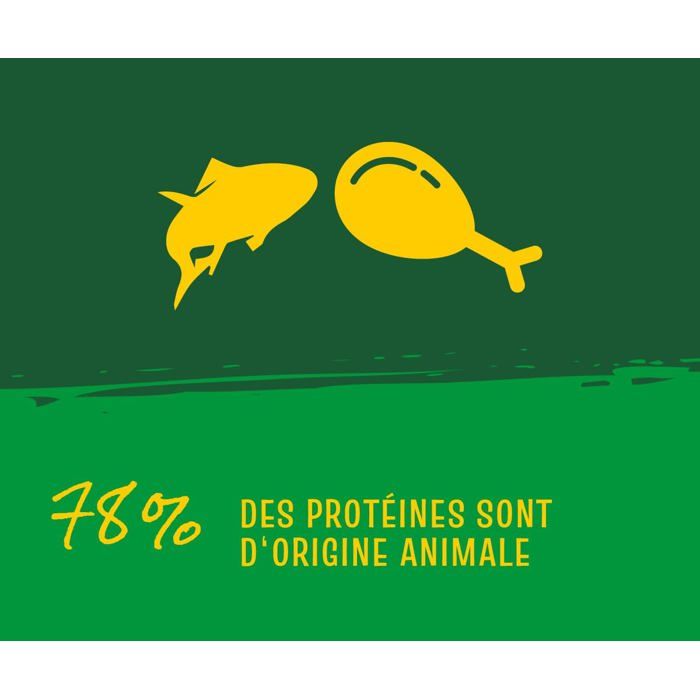 Croquettes pour chats adultes - JosiCat - Poulet - 1.9 kg - Sans blé, soja, sucre - 78% protéines animales