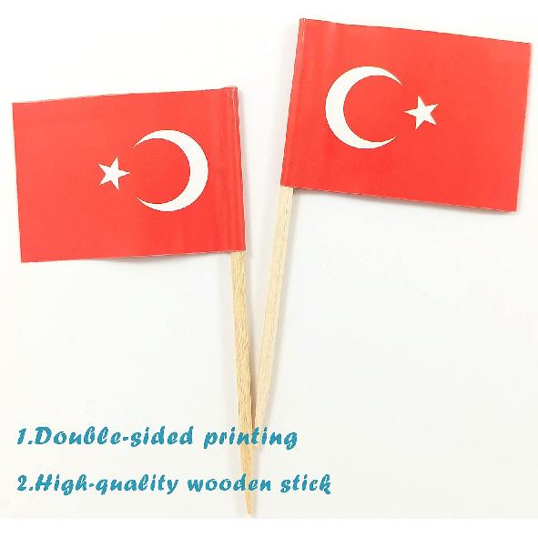 QQSD Turkey Toothpick Flag Turkish Small Mini Cupcake Topper Flags,100 pcs