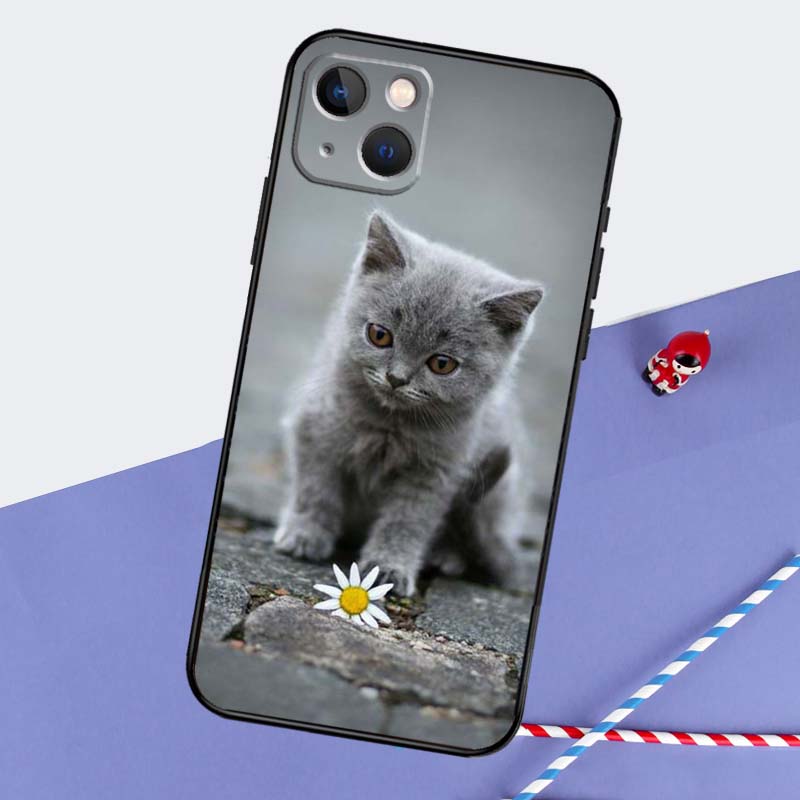 Beautiful Grey British Shorthair Cat Phone Case For iPhone 16 Pro Max 11 13 14 15 Pro Max 12 Mini XR 16 15 Plus 16e Back Cover