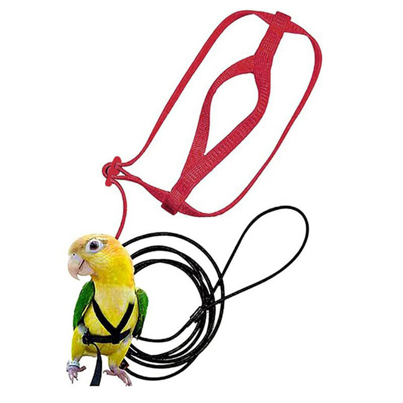 SML Parrot Release Rope Tiger Skin Black Phoenix Anti Bite Traction Rope Parrot Outing Training Walking Straps