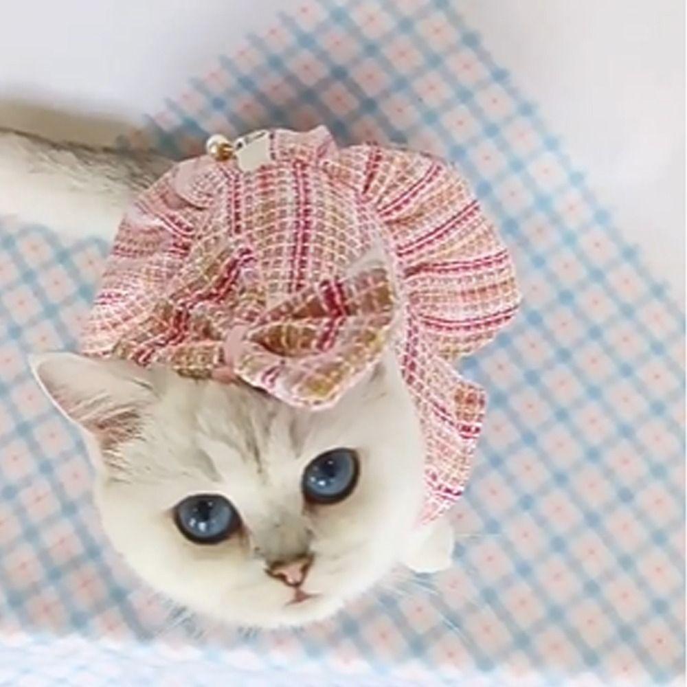 Cute Pet Princess Dress Breathable Pet Windbreaker Fashion Cat Skirt Autumn Winter