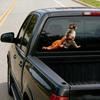 Monkey Stickers Adorable Baby Monkey Window Decal for Car And Glass Surfaces Easy to Install Remove No Residue Vinyl Cute Animal Decoration