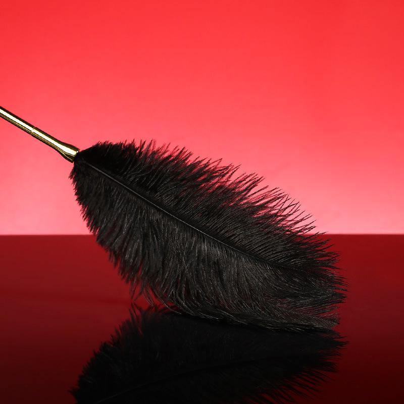 Miji 48-Piece Ostrich Feather Teaser Stick Set for Couples