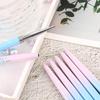 Nail Art Pen Set: 6-Piece Gradient Blue/Pink for Flowers & Lines, Beginner-Friendly with Cap & Nylon Hair.