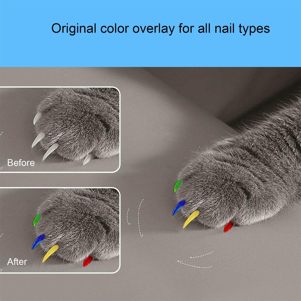 6pcs Pet Nail Polish Pens Quick Drying Safe Smellless Painting Pen for Stylish Dog Nail Art for Home and Pet Salons