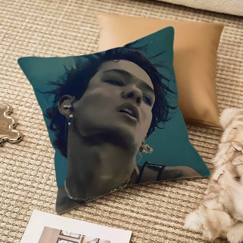 O-Omar R-Rudberg Singer Pillow Case Anti-Dustmite Pillowcase Invisible Zipper Silky Plush Sofa Peach skin 18*18(CM)-1Pcs