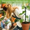 Flower Pot Trellis Plant Support Pile Plastic Bonsai Fixing Rod Flower Support Rack  Greenhouse