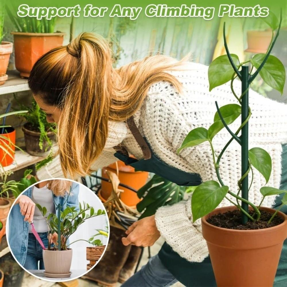 Flower Pot Trellis Plant Support Pile Plastic Bonsai Fixing Rod Flower Support Rack Greenhouse
