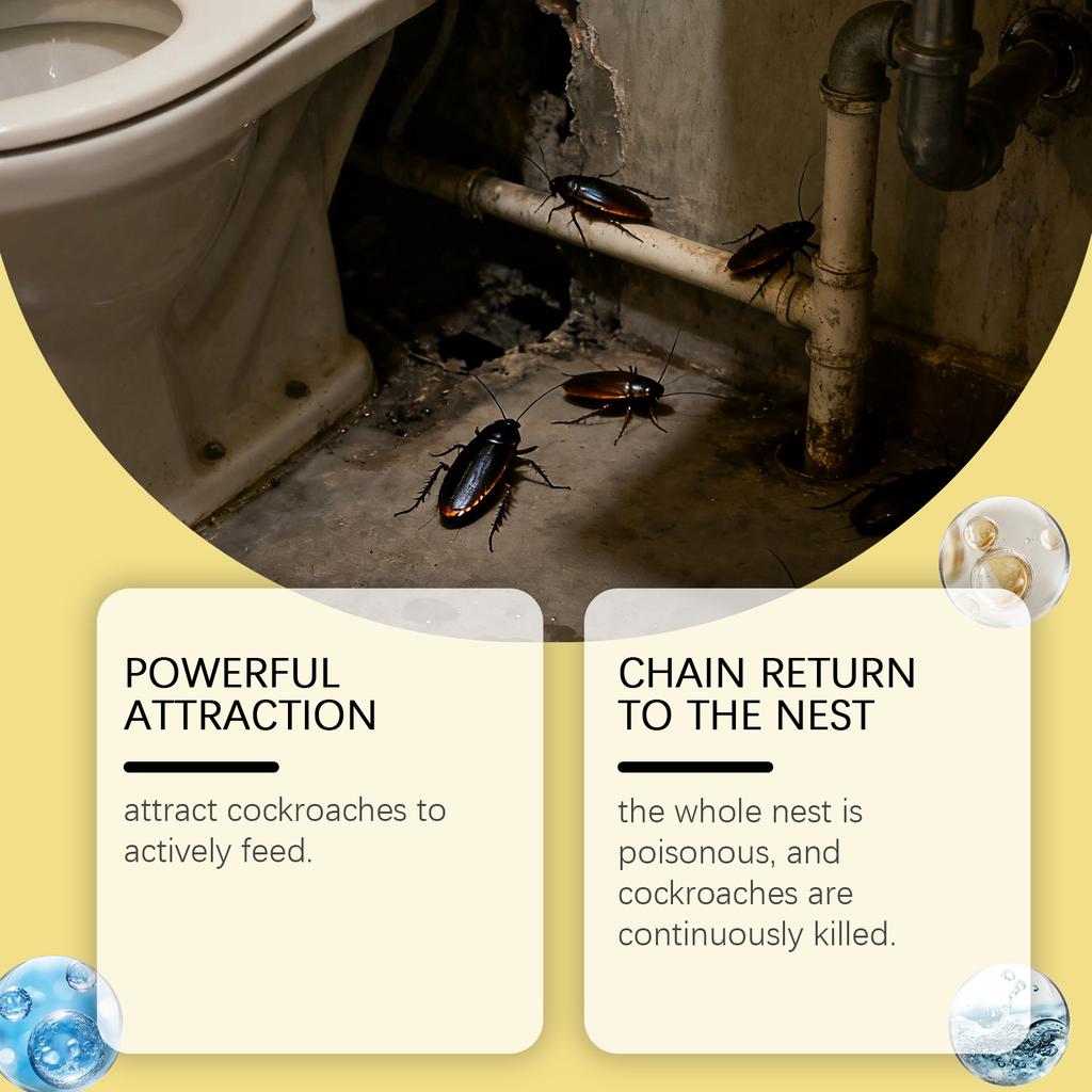 Klej na karaluchy, Gniazda karaluchów w pomieszczeniach, Domowa eksterminacja karaluchów, Naklejki na karaluchy kuchenne.