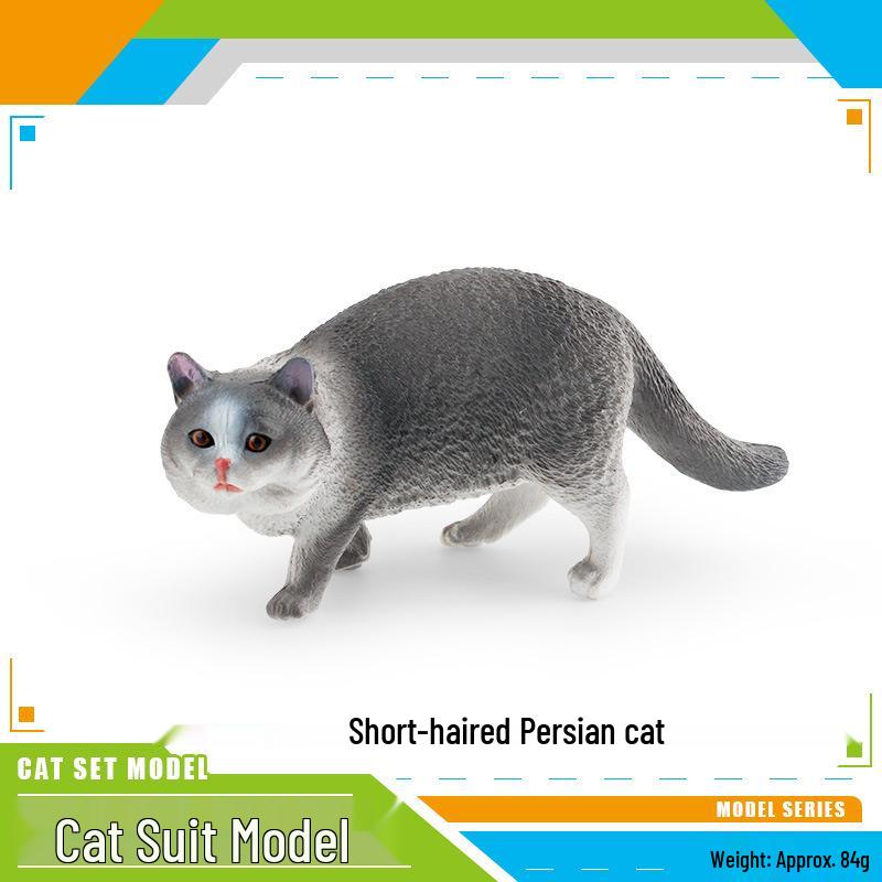 Cute Persian Cat Model for Children s Cognitive Development - Short-haired, Fat Cat Desktop Ornament
