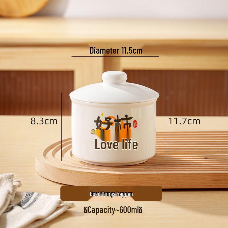 RUHAN Single Serving Ceramic Stew Pot with Lid