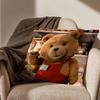 Movie Cute Ted Bear Pillow Case Antidustmite Pillowcase Invisible zipper silky short plush Sofa cushion cover
