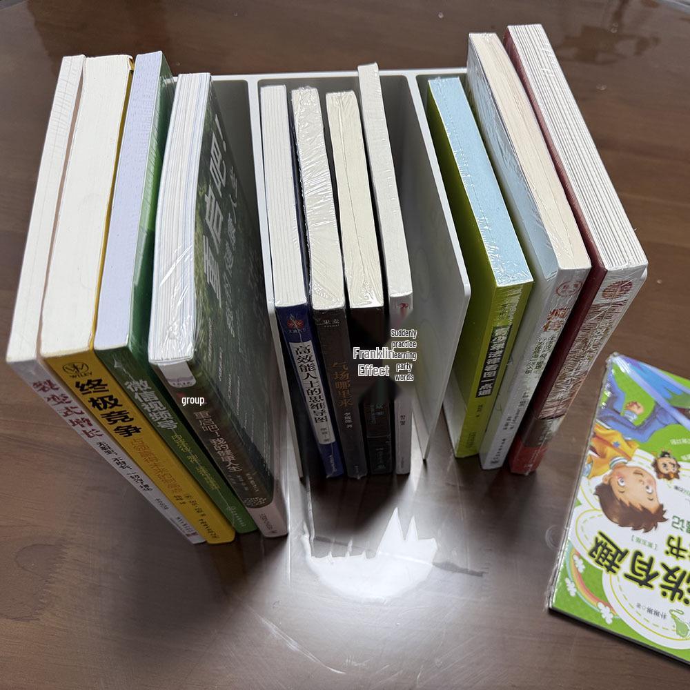 Desktop Book Stand & Organizer - Creative File and Book Divider for Students and Office Small LKL-125