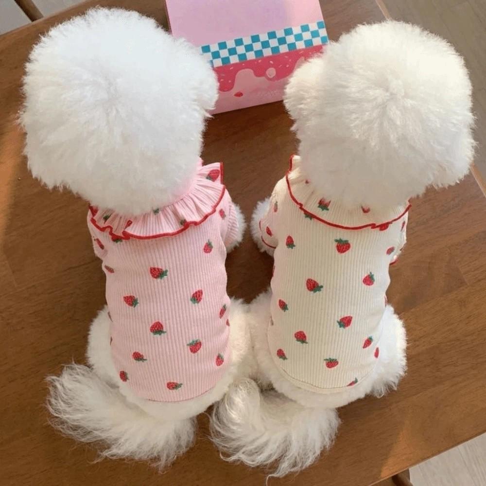 Comoda Pettorina per Cani Primavera Autunno Abbigliamento Cane Gatto Carino Animale Domestico Maglietta Base Fragola Cane/Gatto Medio/Piccolo