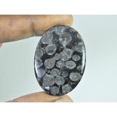 49Cts. Natural Black Fossil Coral Oval Cabochon Loose Gemstone 29X40X04 MM B-338