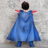 29.5cm Dragon Ball King Vegeta Anime Figure Vegeta Cloak Stand Action Figures Model Toys Doll Collection Room Decoration Gifts