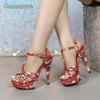 Women's High Heel Sandals Platform 13CM Stiletto Banquet Party Dress Shoes for Women Fashion Thin High Heels Evening Prom Pumps