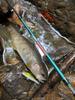 Tsulino LUANA MOBILE COMPACT464UL [4-Piece Lure Rod/Mobile Rod/Compact Rod] (464UL)