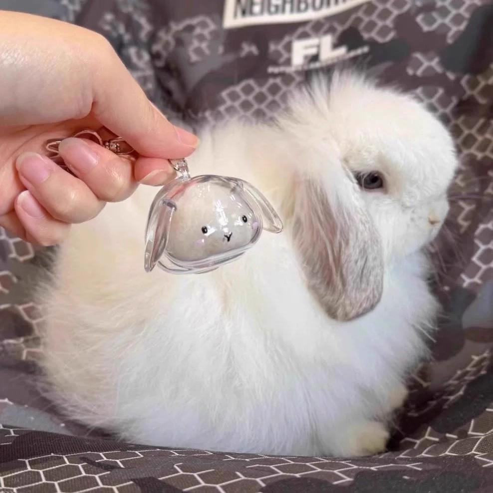 Păr de Animal de Companie Transparent Organizator Păr de Iepure Pandantiv Breloc Rucsac Suveniruri Capsulă de Depozitare Sac Colecție Memorială Animal de Companie
