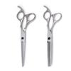 Professional Hairdressing Scissors Set - Straight & Thinning Shears for Barbers and Bangs