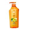 Honey Ginger Hair Growth Shampoo
