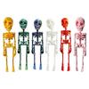 Poseable Skeleton Fridge Magnets Refrigerator Magnets Fridge Decorative Magnets for Home Whiteboard Classroom Office