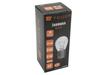 24V 21W BA15s TEGER Bulb, (sold In Packs of 10)
