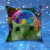 Cute Funny Rainbow Alien Cat Pillow for Sofa Seat Chair Decorative/Modern Home Decor Print Throw Cushion