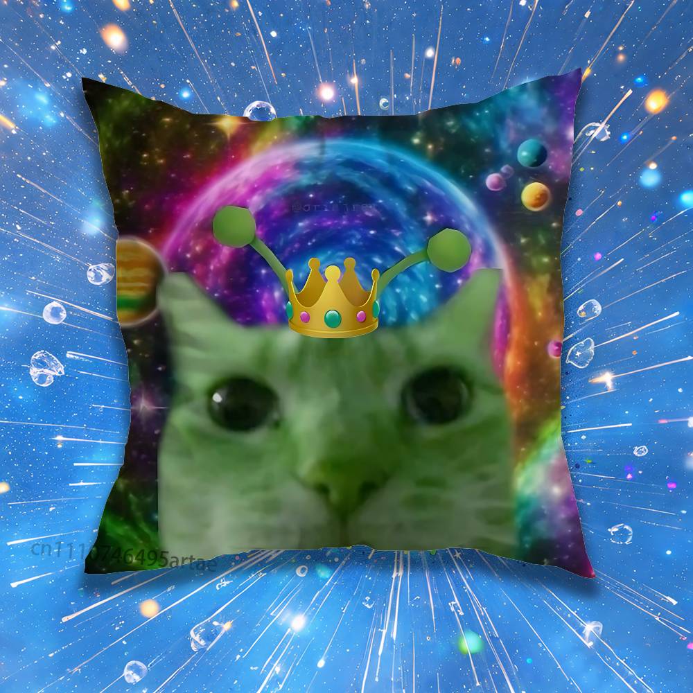Cute Funny Rainbow Alien Cat Pillow for Sofa Seat Chair Decorative/Modern Home Decor Print Throw Cushion