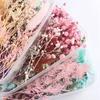 Gemischte Trockenblumen für Scrapbooking Seifen- und Kerzenherstellung Dekoration DIY Bastelbedarf