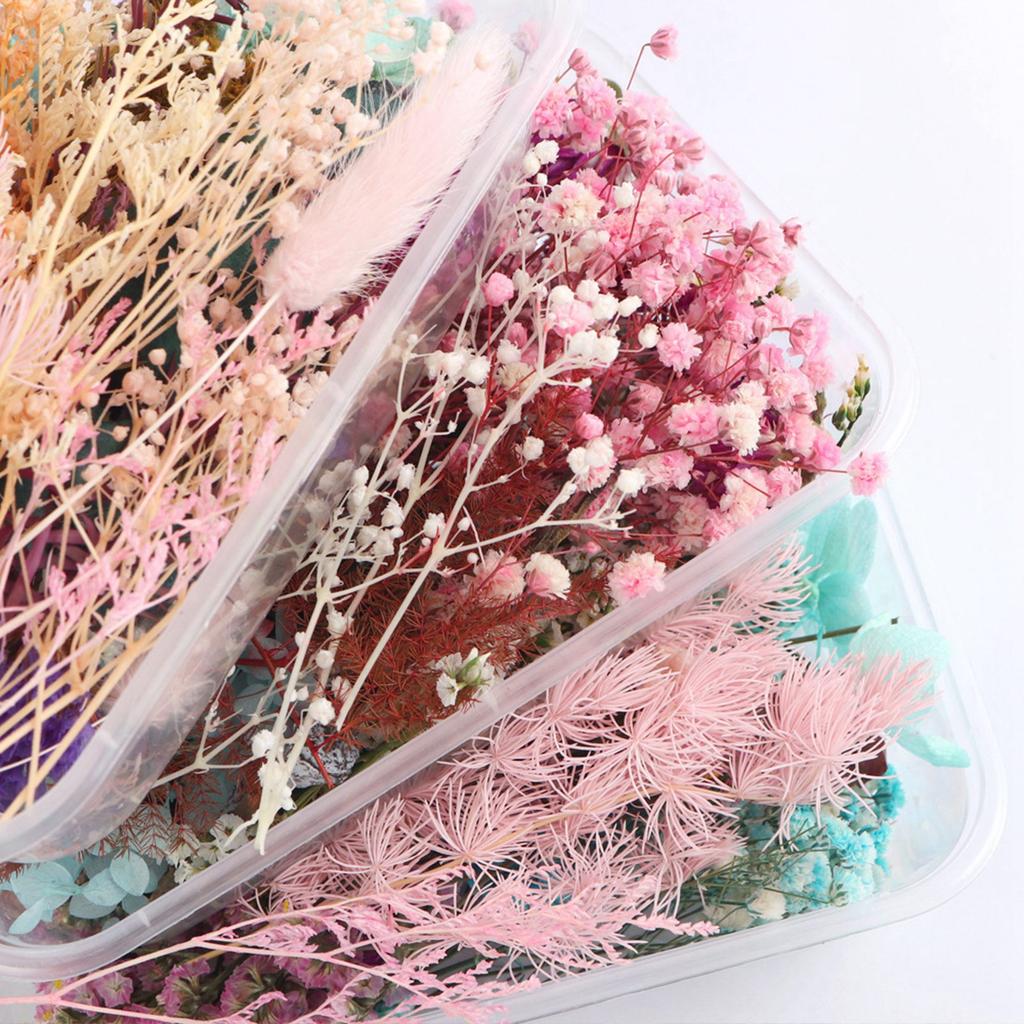 Gemischte Trockenblumen für Scrapbooking Seifen- und Kerzenherstellung Dekoration DIY Bastelbedarf