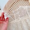 Spitzen-Netz-Prinzessinnenkleid für Kleinkinder & junge Mädchen – Stilvolles koreanisches Langarm für Frühling & Herbst