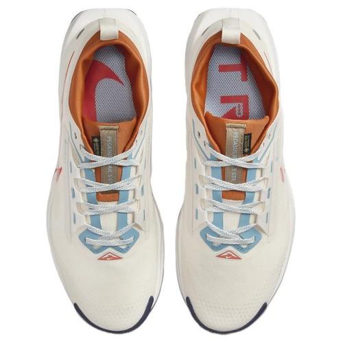 Nike Pegasus Trail 5 GORE-TEX Phantom Vintage Coral - FQ0908-003