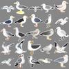 50 Seagull Doodle Stickers Personalized Cartoon Animal Bird Decorative Mobile Phone Case Suitcase Water Cup Stickers