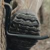 Baumkletterspikes für die Jagd 4 Zoll Baumkletterspikes Bogenhaken Halten bis zu 705 lbs Passend zum Klettern zu Baumständen Outdoor-Werkzeug