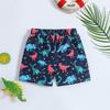 Children's Dinosaur Print Quick-Dry Swim Trunks - Toddler & Boys' Cute Flat-Leg Shorts