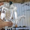 Shangqi Transparent Glass Teapot with Dark Green Handle
