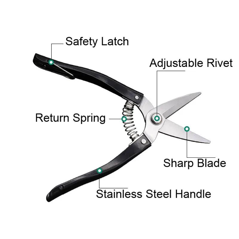 Straight Head Stainless Steel Household Gardening Flowers Branches Pruning Shear Fruit Picking Tools Garden Scissors with Spring