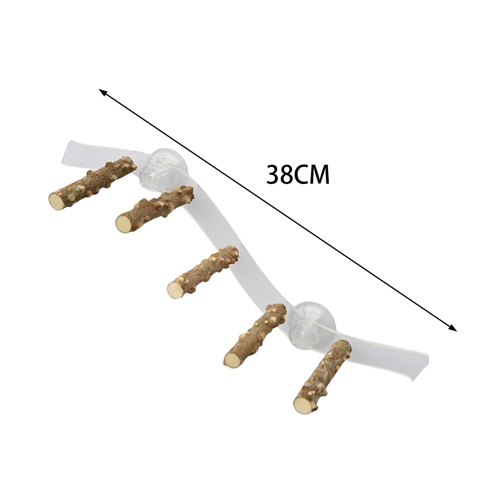 

Suction Cup Wood Parrot Stand Hanging Bird Toy Window Shower Perch Toy for Budgie Bluebirds Hummingbird Bird Supplies