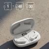 SANAG Z22SProMax Ear-Hook Wireless Earbuds