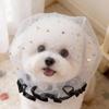 Muso anti-scavenging per animali domestici Rete traspirante Vestibilità sicura Maschera bocca da addestramento Muso regolabile per cane e gatto Comodo proteggi-morso