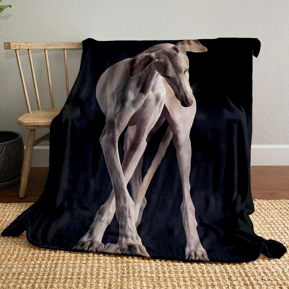 

Slender Hound Art Blanket bedroom Blanket for Livingroom Couch lunch break Soft throw for Friend s festival Gift 80cm x 120cm