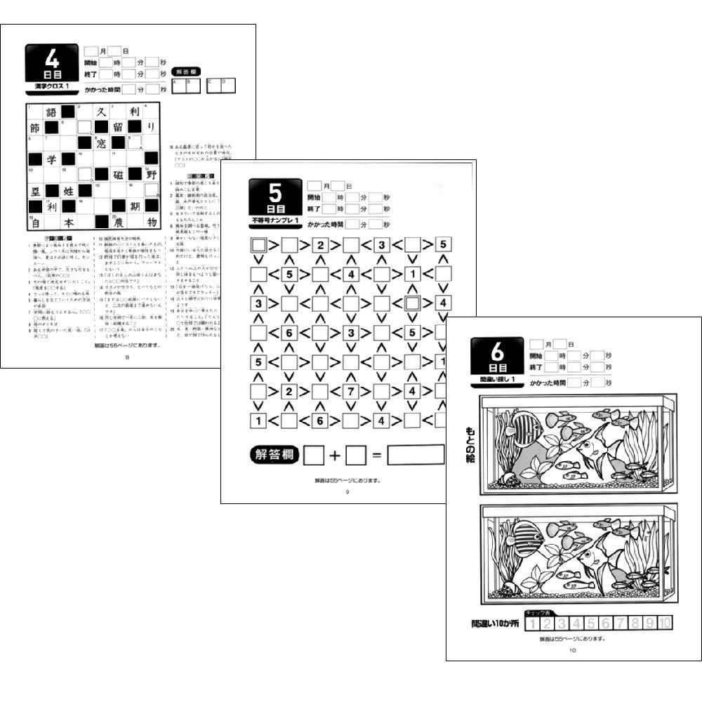 Gakken Staful Adult Workbook: Brain-Boosting 50-Day Puzzle 1 N05504