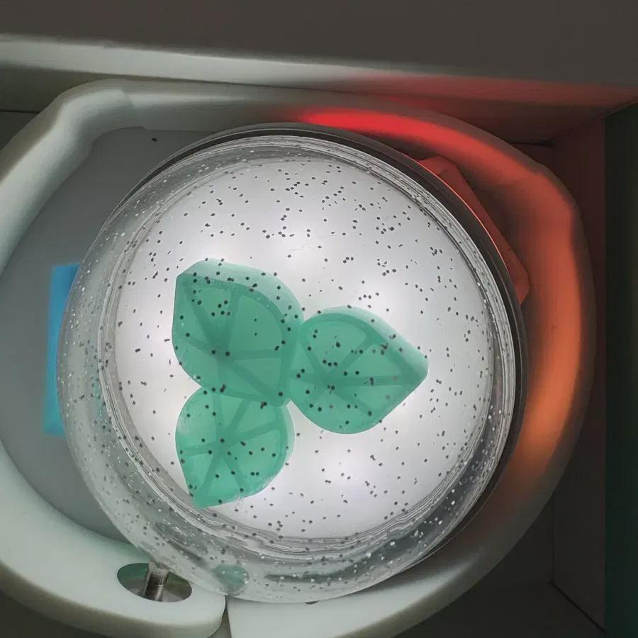 

Day6 Madewatch 3 Release And Bonus Focus